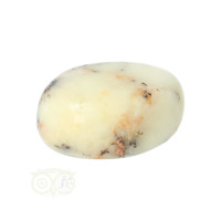 thumb-Dendriet Opaal - Agaat handsteen - Small Nr 30 - 25 gram-6