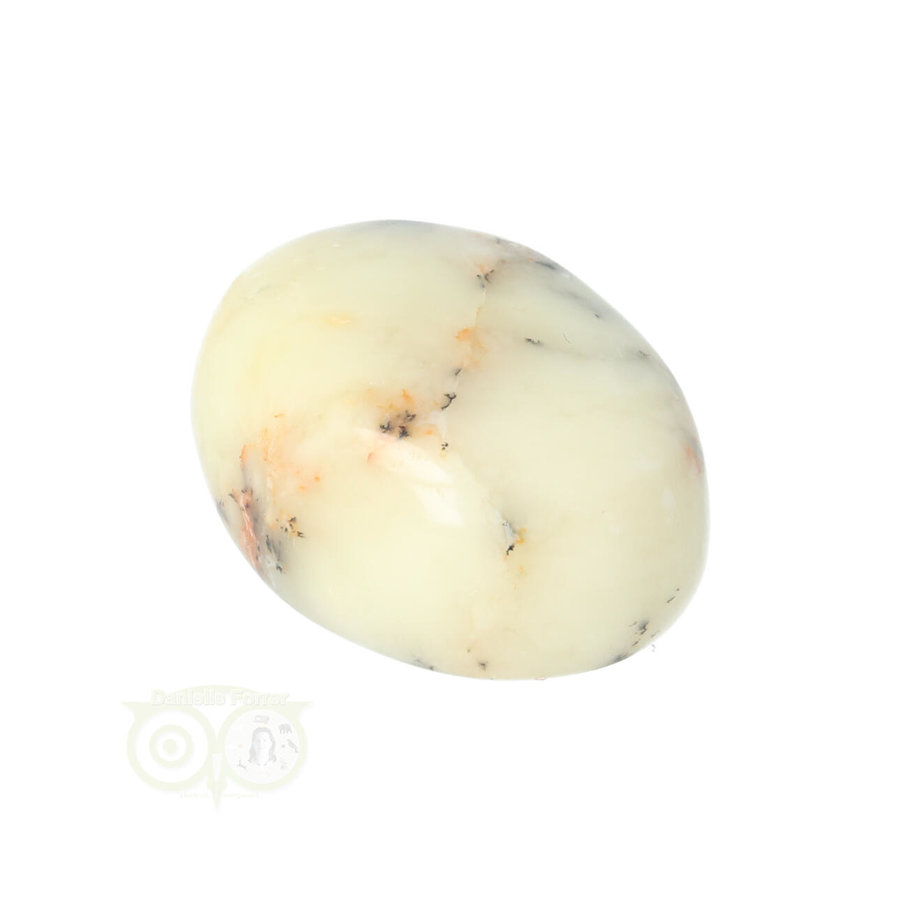 Dendriet Opaal - Agaat handsteen - Small Nr 30 - 25 gram-7