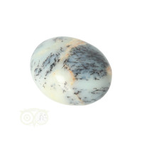 Dendriet Opaal - Agaat handsteen - Small Nr 31 - 21 gram