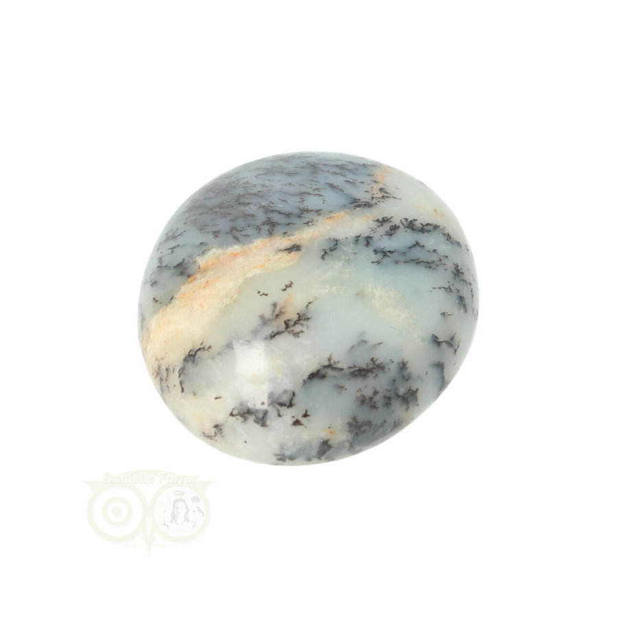 Dendriet Opaal - Agaat handsteen - Small Nr 31 - 21 gram-5