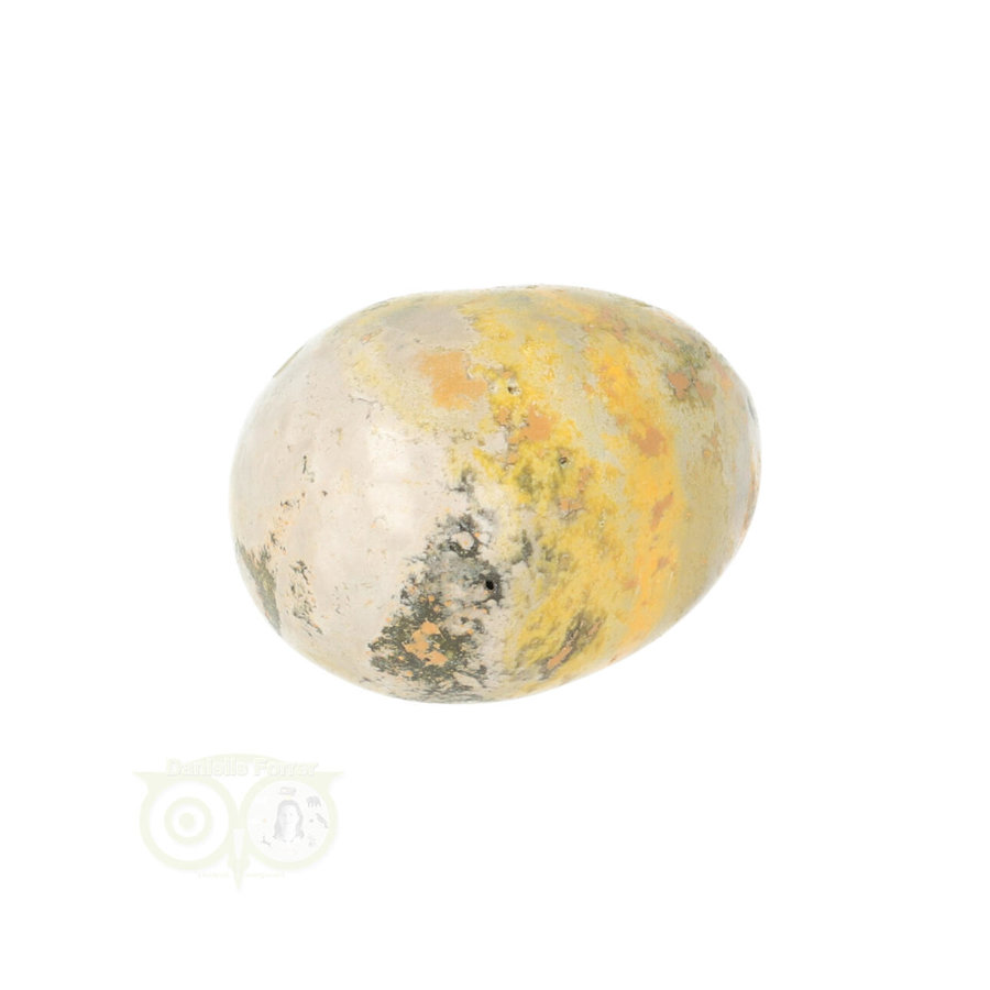 Bumble Bee Jaspis trommelsteen Nr 15 - 19 gram-10