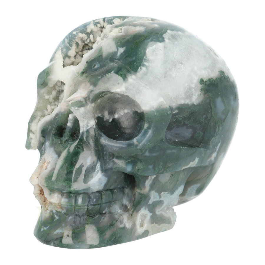 Mosagaat schedel 983 gram-4