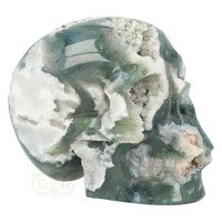 thumb-Mosagaat schedel 983 gram-7