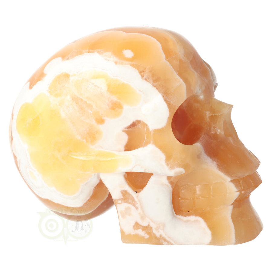 Oranje Calciet schedel Nr 270 - 1759 gram-8