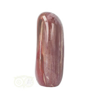 thumb-Versteend hout sculptuur nr 29 - 449 gram-3