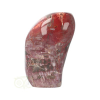 thumb-Versteend hout sculptuur nr 31 - 573 gram-2