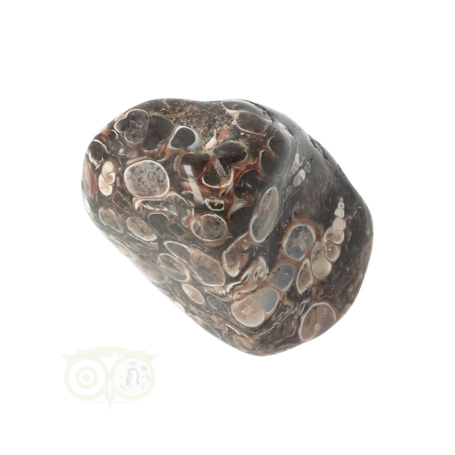 Turitella Agaat trommelsteen Nr 43 - 30 gram-1