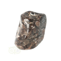 thumb-Turitella Agaat trommelsteen Nr 43 - 30 gram-3