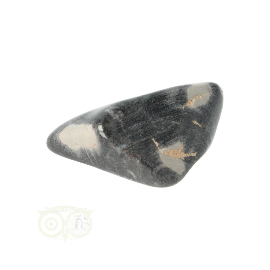 Jaspis Zilverblad ( Silverleaf Jasper ) trommelsteen Nr 9-8