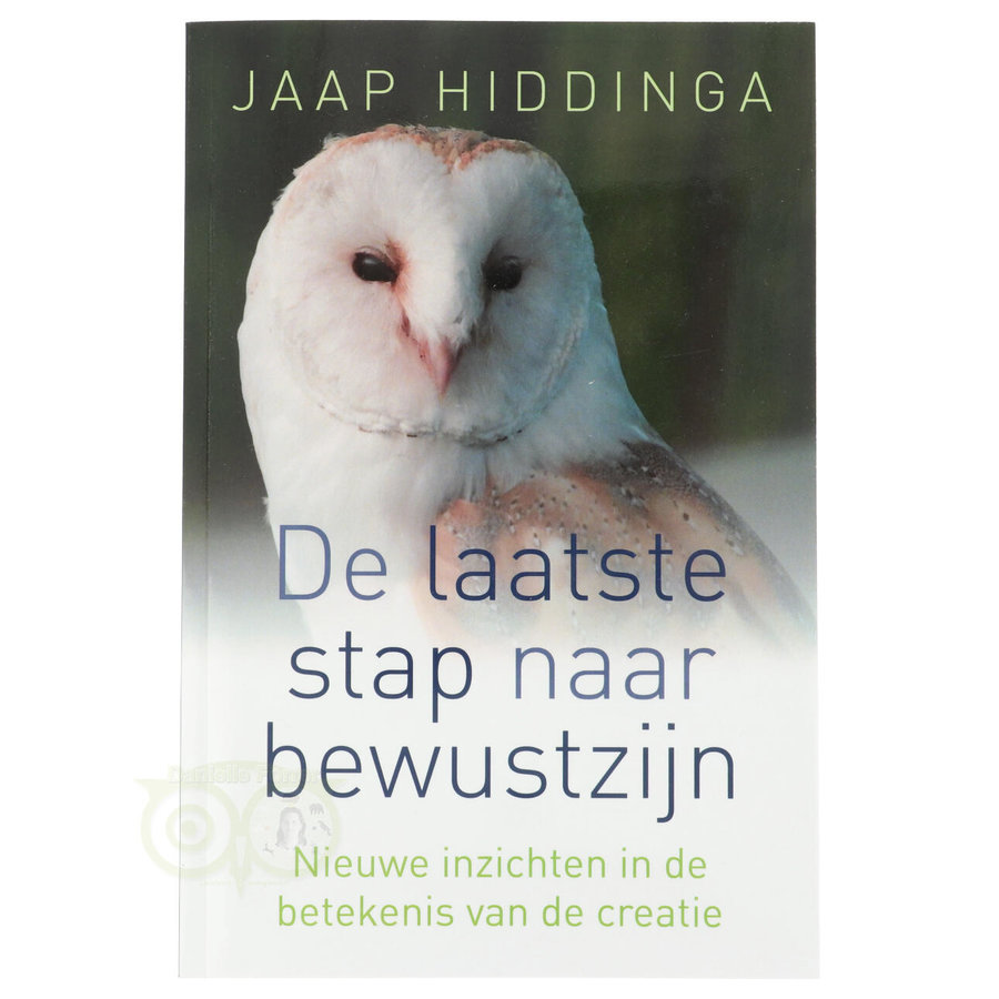 De laatste stap naar bewustzijn - Jaap Hiddinga-1