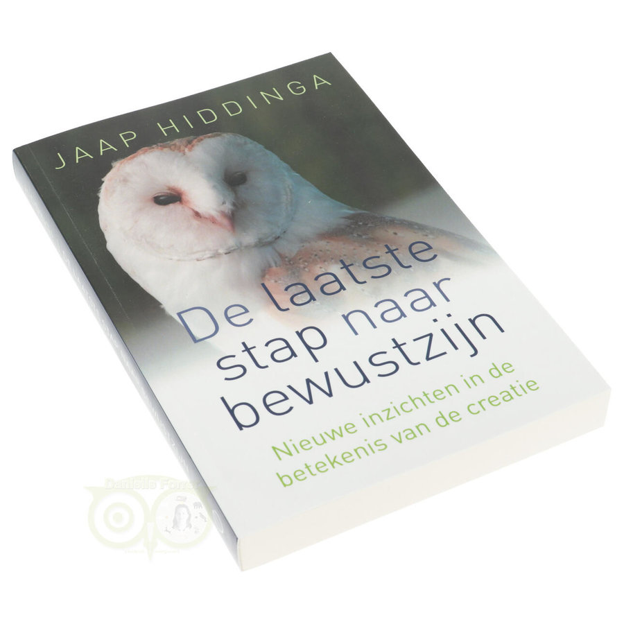 De laatste stap naar bewustzijn - Jaap Hiddinga-2