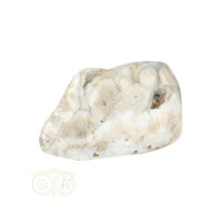 thumb-Oceaan Jaspis trommelsteen Nr 37 - 37 gram-6