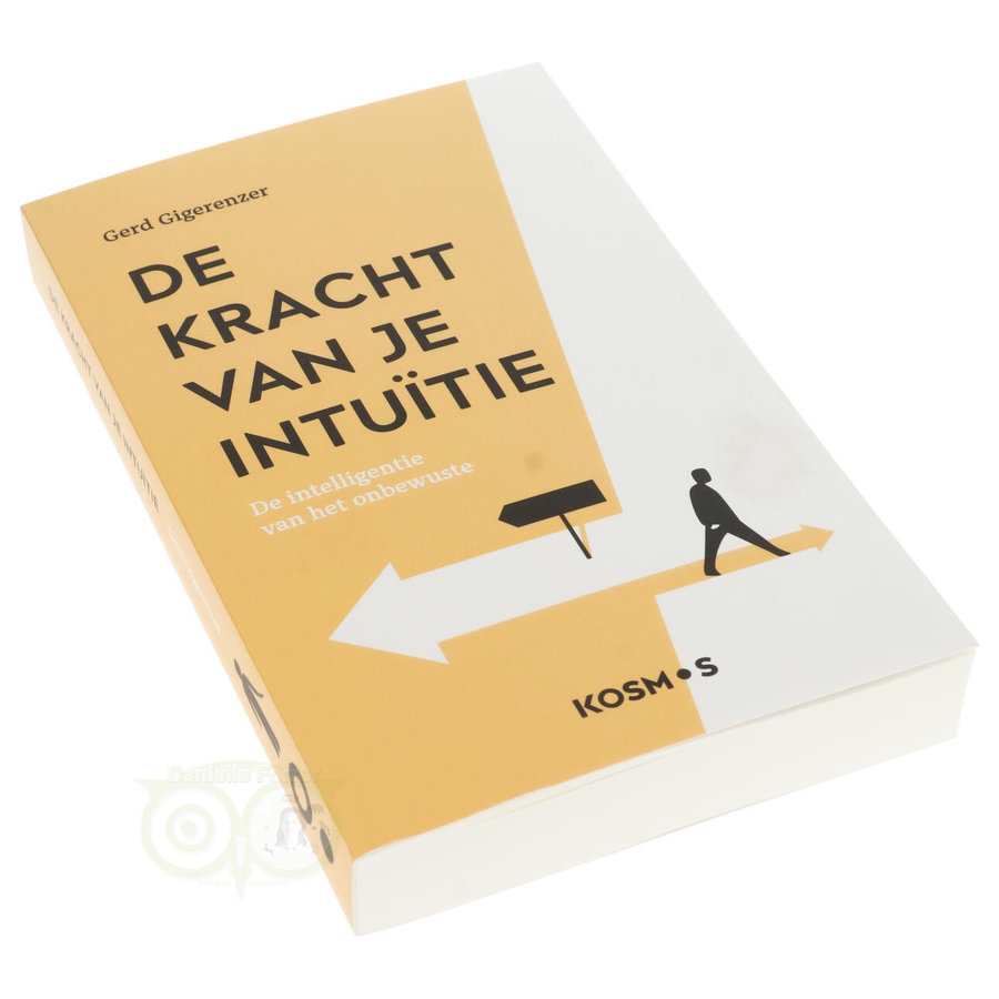 De kracht van je intuïtie - Gerd Gigerenzer-2