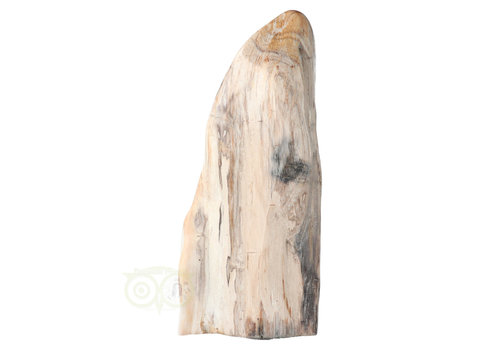 Versteend hout sculptuur nr 54 