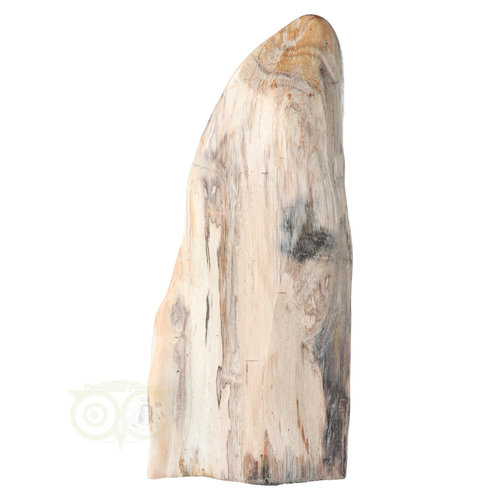 Versteend hout sculptuur nr 54 