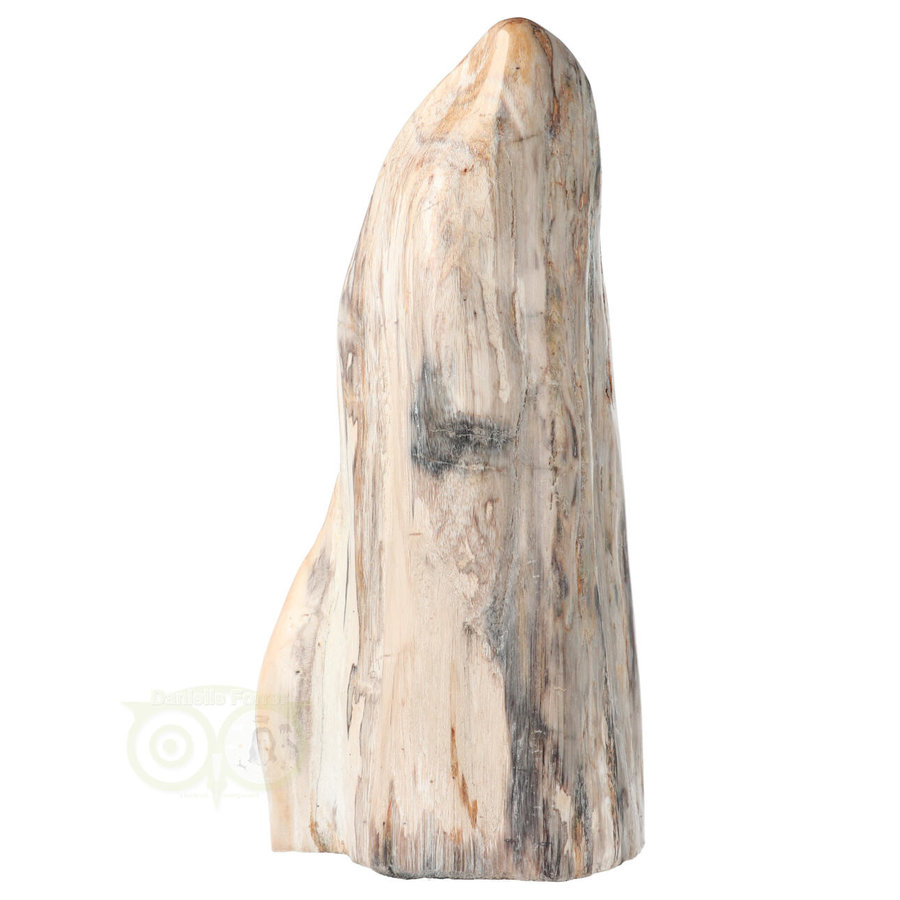 Versteend hout sculptuur nr 54 - 4595 gram-2