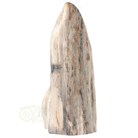 thumb-Versteend hout sculptuur nr 54 - 4595 gram-3