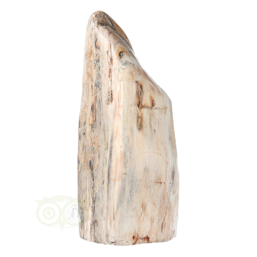 Versteend hout sculptuur nr 54 - 4595 gram-5