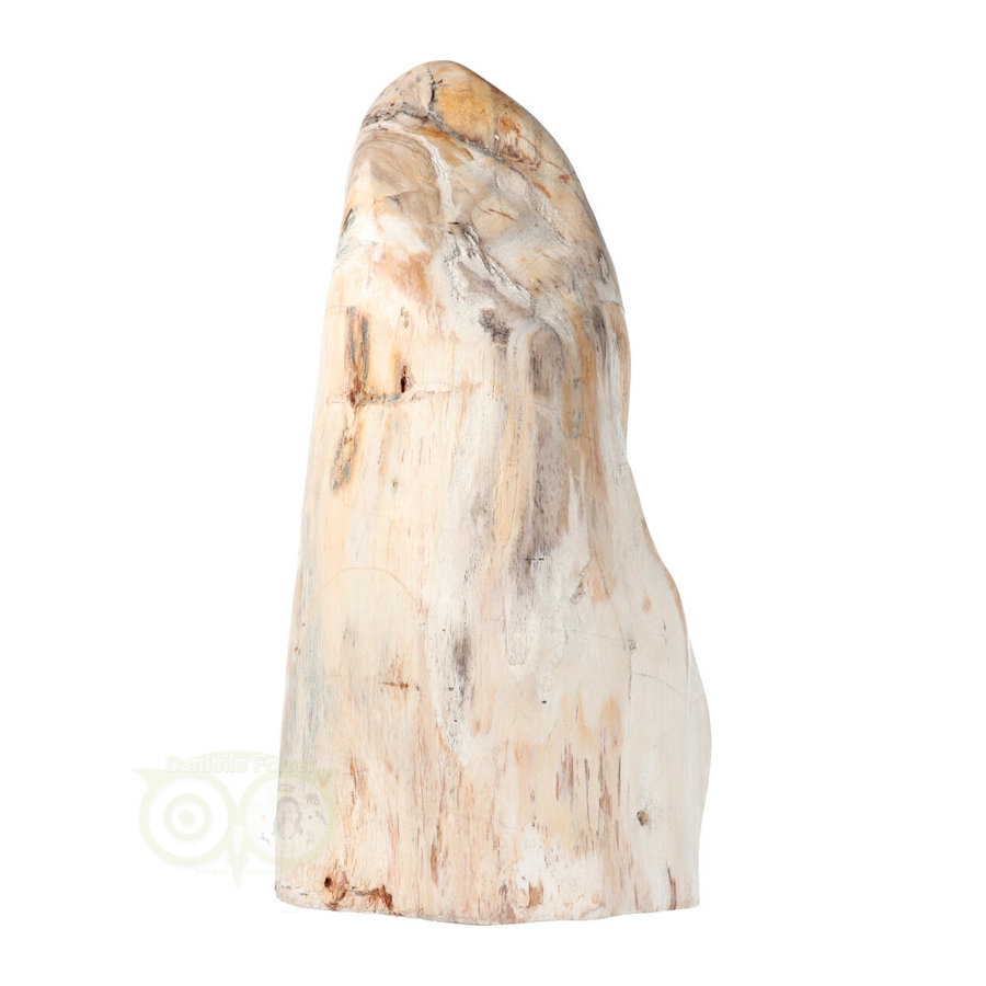 Versteend hout sculptuur nr 54 - 4595 gram-7