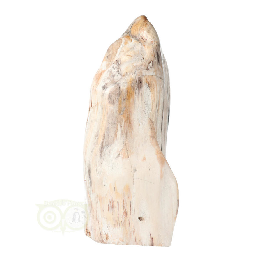 Versteend hout sculptuur nr 54 - 4595 gram-8