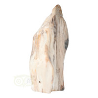 thumb-Versteend hout sculptuur nr 54 - 4595 gram-9