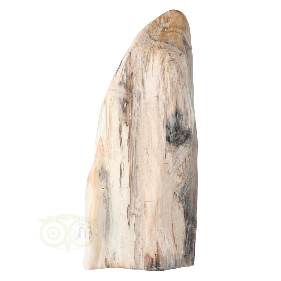 Versteend hout sculptuur nr 54 - 4595 gram-10