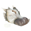 Agaat geode draken schedel 517 gram