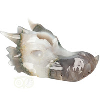 thumb-Agaat geode draken schedel 517 gram-10