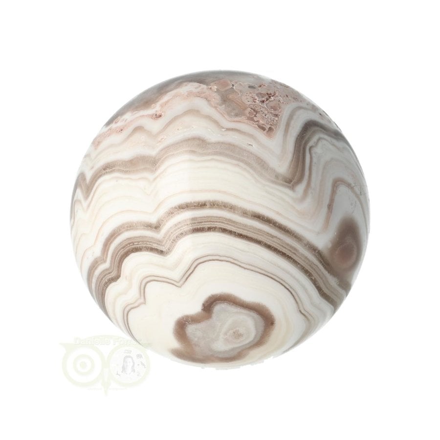 Zebra calciet Bol Nr 5 - Ø 5.30 cm - 206 gram-9