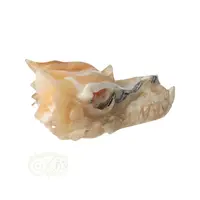 thumb-Calciet DRAAK draken schedel Nr 287- 355 gram-7