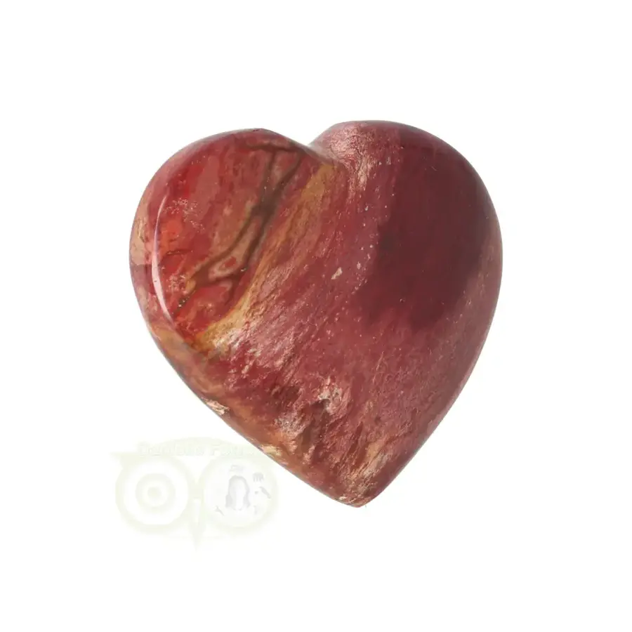 Versteend hout hart ± 3 cm Nr 60 -15 gram - Madagaskar-2