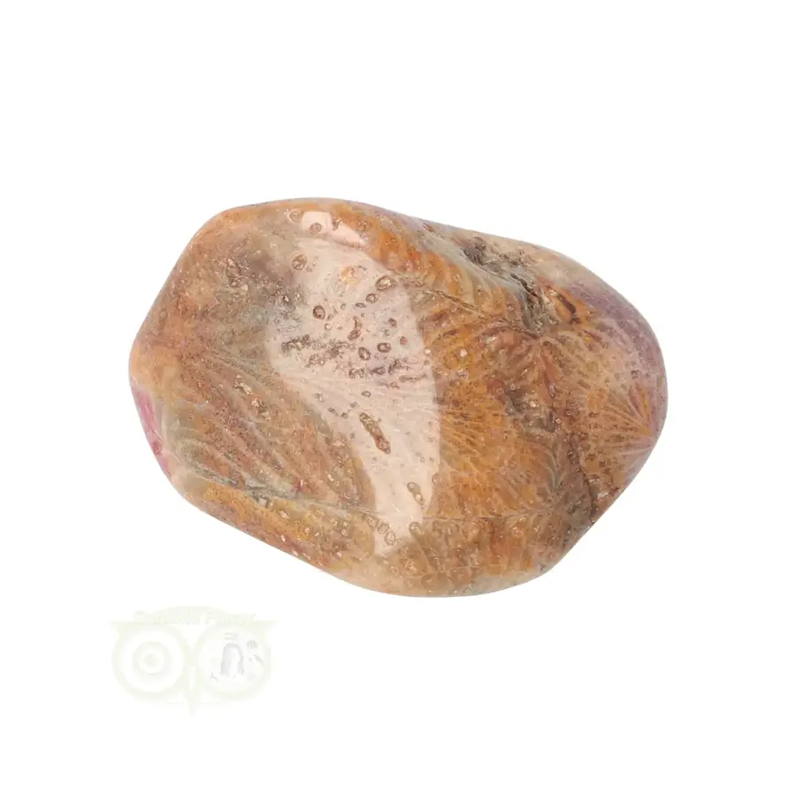 Fossiel Koraal trommelsteen Nr 22 - 20 gram-1