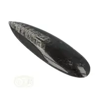 thumb-Orthoceras Fossiel geslepen Nr 22 - 126 gram-4