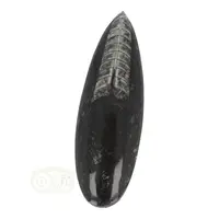 thumb-Orthoceras Fossiel geslepen Nr 22 - 126 gram-6