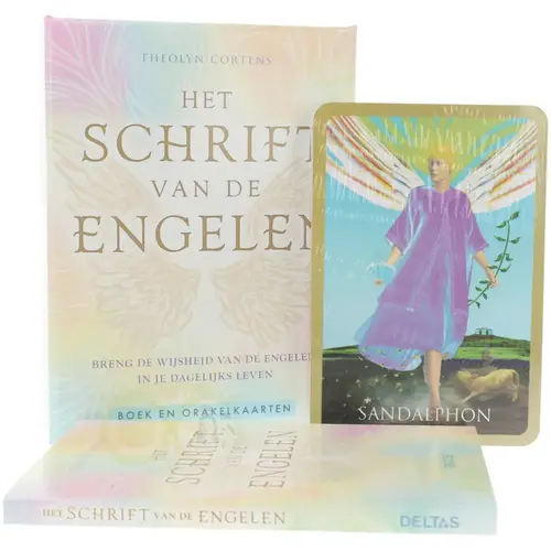 Het schrift van de engelen - Theolyn Cortens 