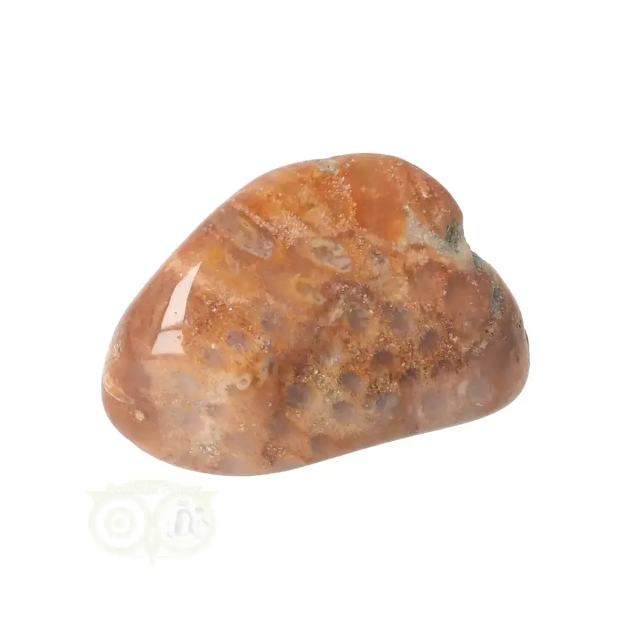 Fossiel Koraal trommelsteen Nr 25 - 23 gram-1