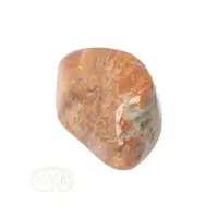thumb-Fossiel Koraal trommelsteen Nr 25 - 23 gram-2