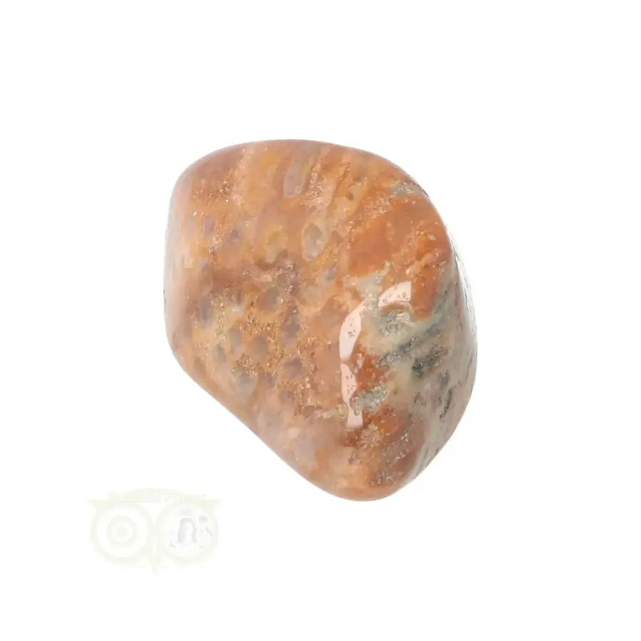 Fossiel Koraal trommelsteen Nr 25 - 23 gram-2