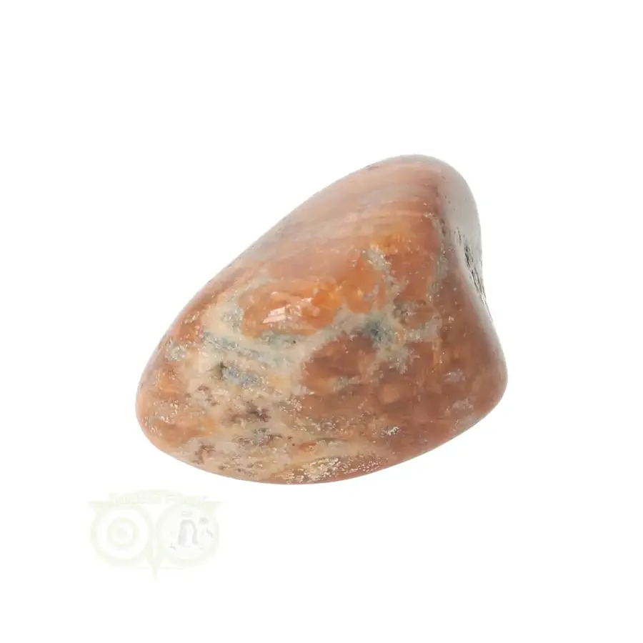 Fossiel Koraal trommelsteen Nr 25 - 23 gram-3