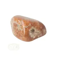 thumb-Fossiel Koraal trommelsteen Nr 25 - 23 gram-4