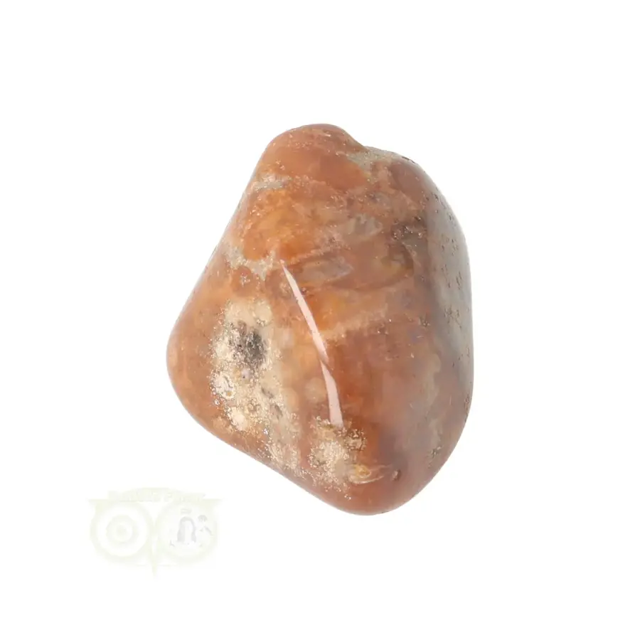 Fossiel Koraal trommelsteen Nr 25 - 23 gram-5