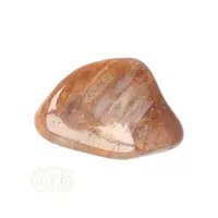 thumb-Fossiel Koraal trommelsteen Nr 25 - 23 gram-6