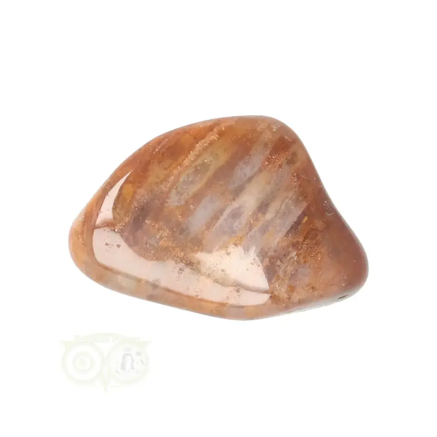 Fossiel Koraal trommelsteen Nr 25 - 23 gram-6
