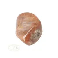 thumb-Fossiel Koraal trommelsteen Nr 25 - 23 gram-7