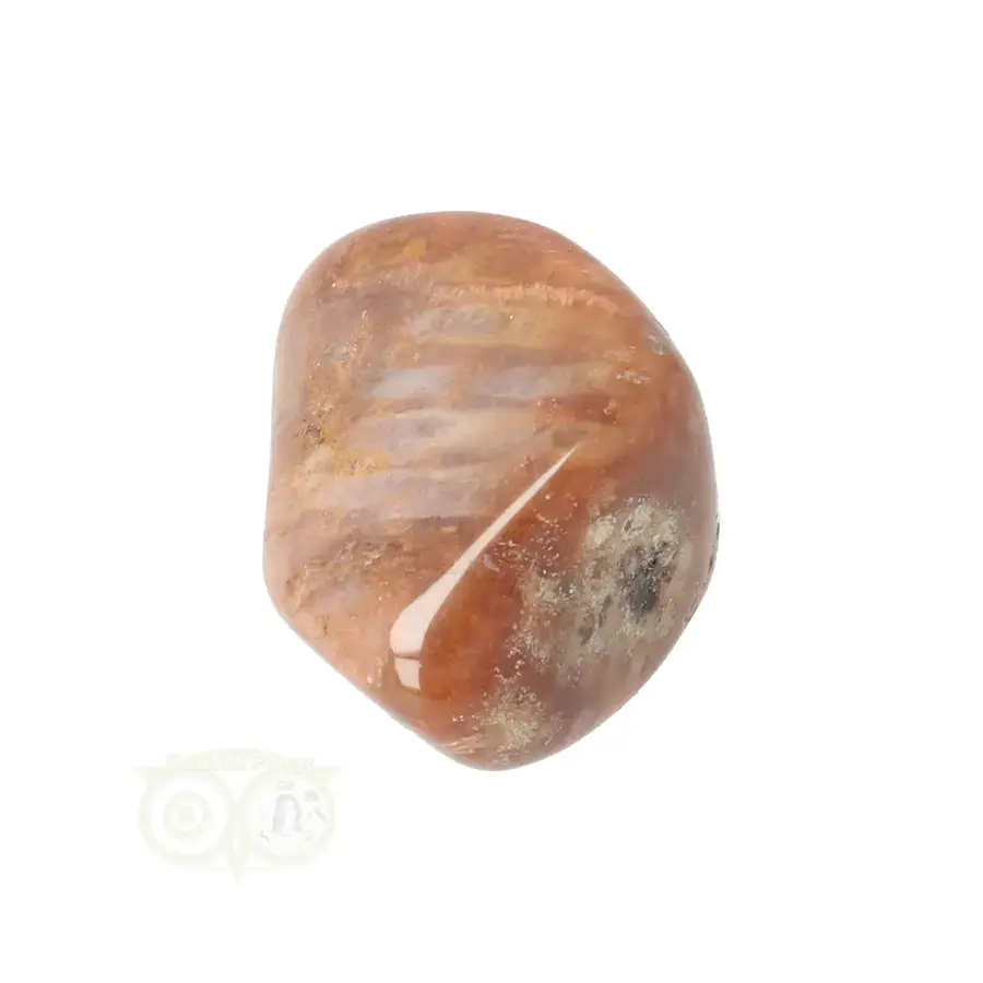 Fossiel Koraal trommelsteen Nr 25 - 23 gram-7