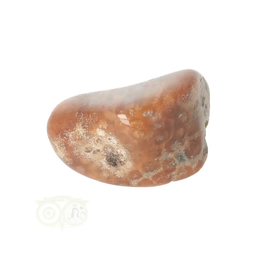 Fossiel Koraal trommelsteen Nr 25 - 23 gram-8