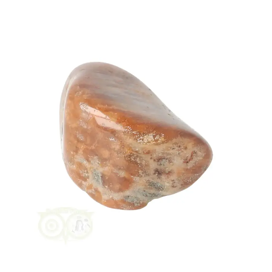 Fossiel Koraal trommelsteen Nr 25 - 23 gram-9