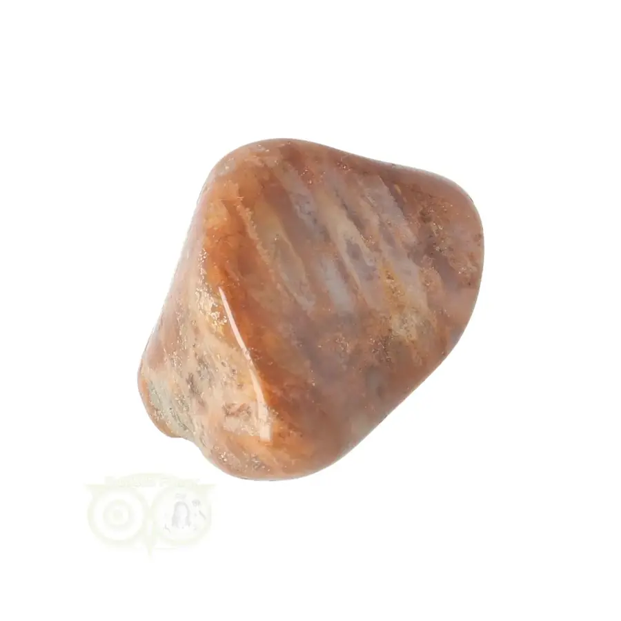 Fossiel Koraal trommelsteen Nr 25 - 23 gram-10