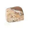 Oceaan Jaspis trommelsteen Nr 40 - 22 gram
