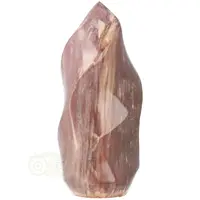 thumb-Versteend hout vlam sculptuur nr 42 - 994 gram-9